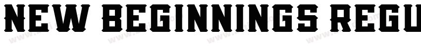 New Beginnings Regul字体转换